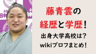 藤青雲の経歴と学歴！出身大学と高校は？wikiプロフまとめ！