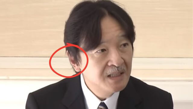 秋篠宮文仁親王　もみあげ　画像