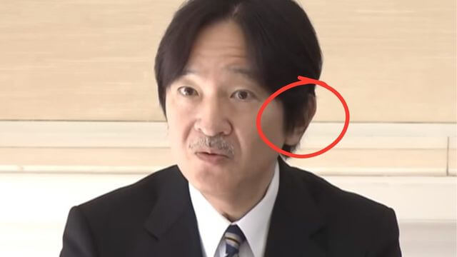 秋篠宮文仁親王　もみあげ　画像