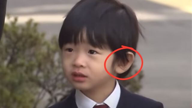 悠仁さま もみあげ 非対称 幼稚園入学 画像