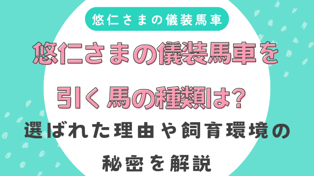 悠仁さまの儀装馬車を引く馬の種類は？選ばれた理由や飼育環境の秘密を解説