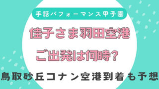【2025年9月】佳子さま羽田空港ご出発は何時?鳥取砂丘コナン空港ご到着も予想