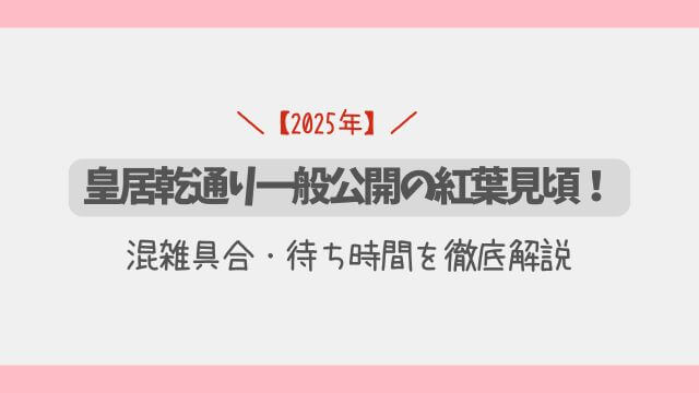 【2025年】皇居乾通り一般公開の紅葉見頃！混雑具合・待ち時間を徹底解説
