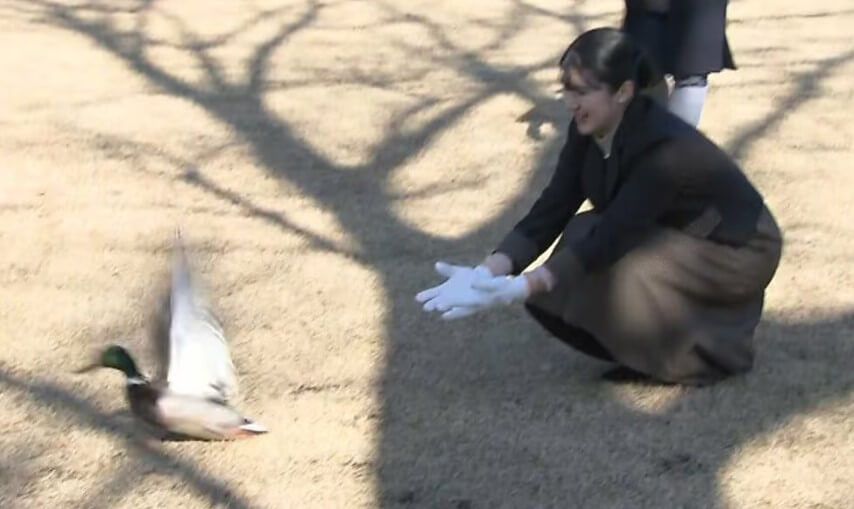 愛子さま　鴨場接待　画像